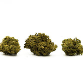 Face Gas THCa Hemp